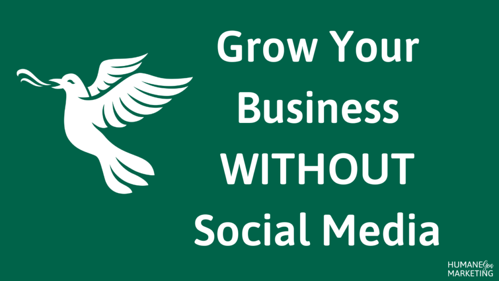 Grow your business without Social Media
